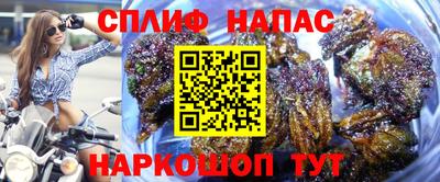 ПСИЛОЦИБИНОВЫЕ ГРИБЫ Изобильный